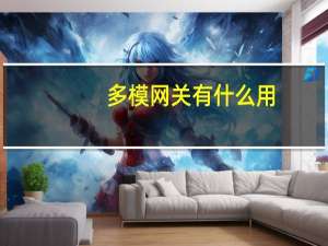 多模网关有什么用（网关有什么用）