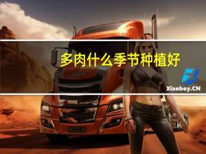 多肉什么季节种植好