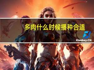多肉什么时候播种合适