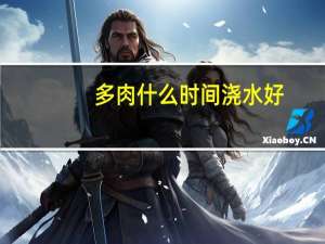 多肉什么时间浇水好