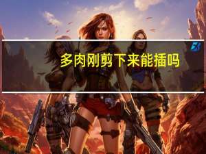 多肉刚剪下来能插吗