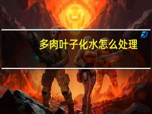 多肉叶子化水怎么处理