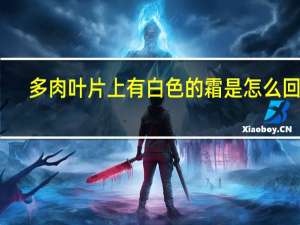 多肉叶片上有白色的霜是怎么回事