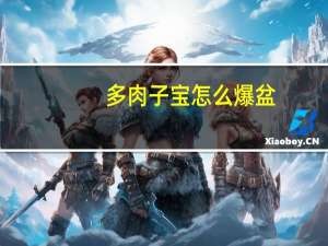 多肉子宝怎么爆盆