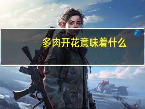 多肉开花意味着什么