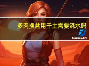 多肉换盆用干土需要浇水吗