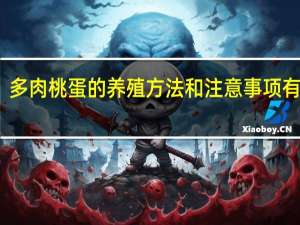 多肉桃蛋的养殖方法和注意事项有哪些