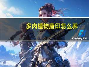 多肉植物唐印怎么养