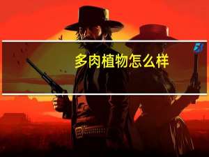 多肉植物怎么样