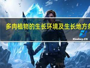 多肉植物的生长环境及生长地方条件