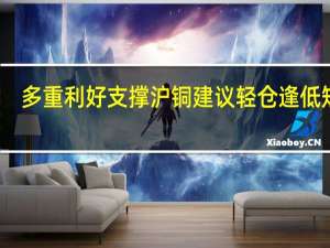 多重利好支撑沪铜建议轻仓逢低短多