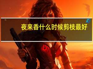 夜来香什么时候剪枝最好