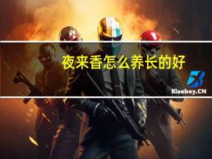 夜来香怎么养长的好