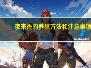 夜来香的养殖方法和注意事项：喜光但要避免烈日暴晒