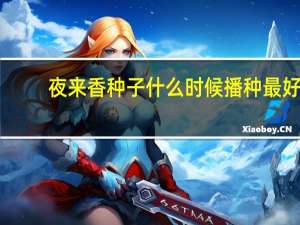 夜来香种子什么时候播种最好