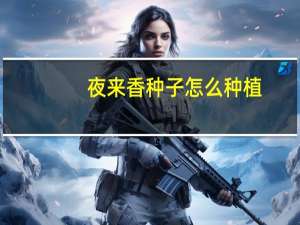 夜来香种子怎么种植