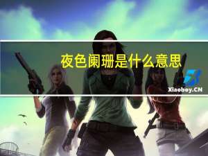 夜色阑珊是什么意思