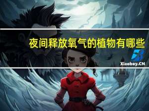 夜间释放氧气的植物有哪些（夜间释放氧气的植物）