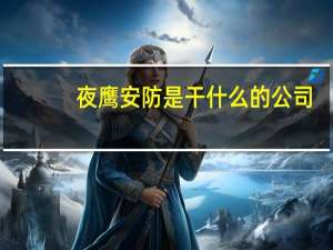 夜鹰安防是干什么的公司