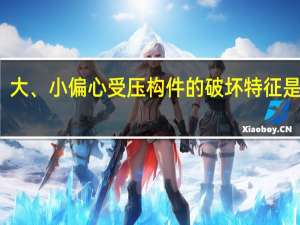 大、小偏心受压构件的破坏特征是什么