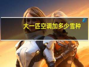 大一匹空调加多少雪种