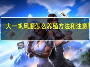 大一帆风顺怎么养殖方法和注意事项