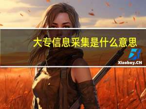 大专信息采集是什么意思
