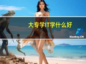 大专学IT学什么好