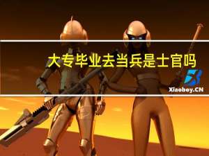 大专毕业去当兵是士官吗