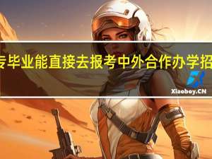 大专毕业能直接去报考中外合作办学招生项目吗