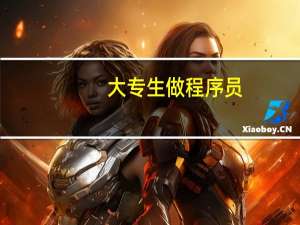 大专生做程序员
