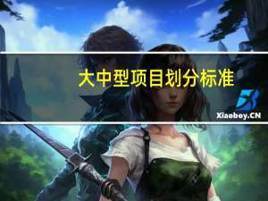 大中型项目划分标准