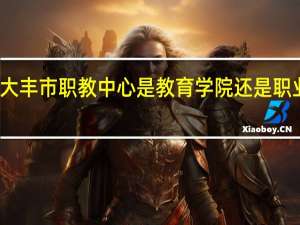 大丰市职教中心是教育学院还是职业学院