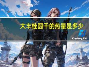 大丰 桂圆干的热量是多少