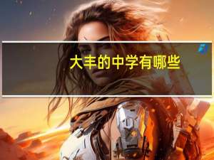 大丰的中学有哪些