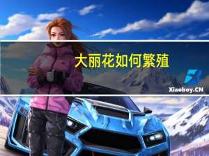 大丽花如何繁殖