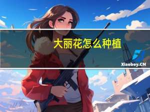 大丽花怎么种植
