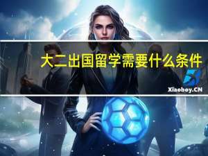 大二出国留学需要什么条件
