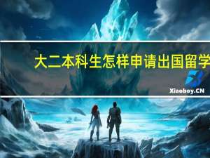 大二本科生怎样申请出国留学