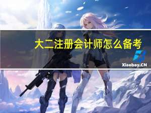 大二注册会计师怎么备考