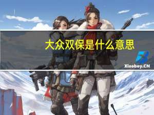 大众双保是什么意思