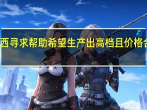 大众向巴西寻求帮助 希望生产出高档且价格合理的小型汽车