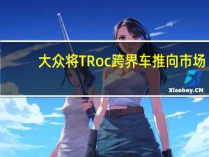 大众将TRoc跨界车推向市场