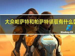 大众帕萨特和帕萨特领驭有什么区别（帕萨特和领驭还有帕萨特领驭有什么联系和区别）