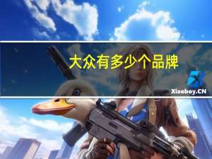 大众有多少个品牌