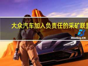 大众汽车加入负责任的采矿联盟