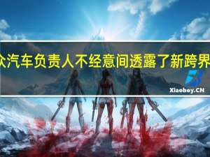 大众汽车负责人不经意间透露了新跨界车的外观