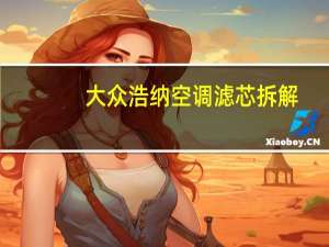 大众浩纳空调滤芯拆解