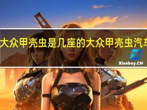 大众甲壳虫是几座的 大众甲壳虫汽车报价