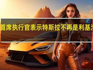 大众首席执行官表示 特斯拉不再是利基汽车制造商